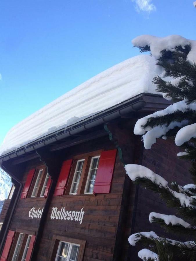 Waldesruh 2 Zimmerwohnung Apartamento Arosa