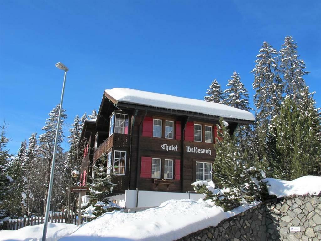Waldesruh 2 Zimmerwohnung
